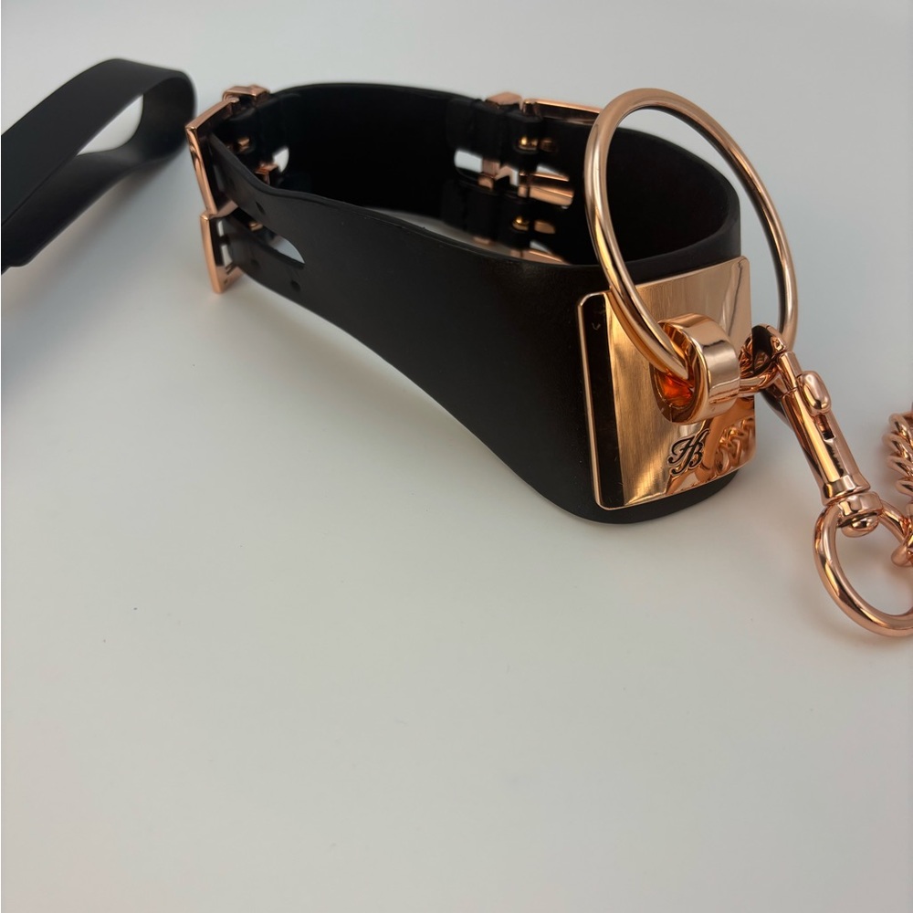 Satisfy your submissive side with this luxurious Leather Collar - Picture 5 of 7